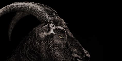 The Witch Black Phillip: Examining his Mysterious Resurgence in Popular Culture